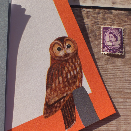 Owls Mini Notes Writing Set