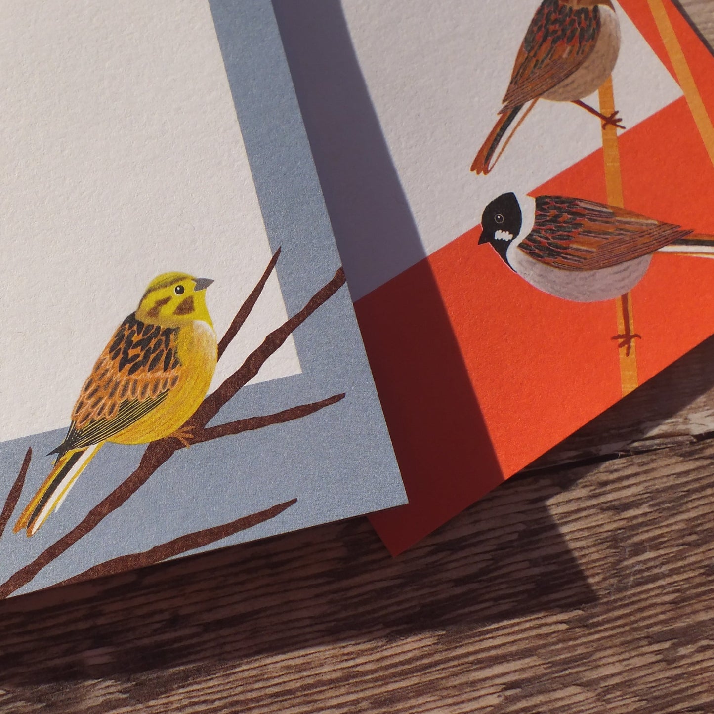 Hedgerow Birds Gift Notes