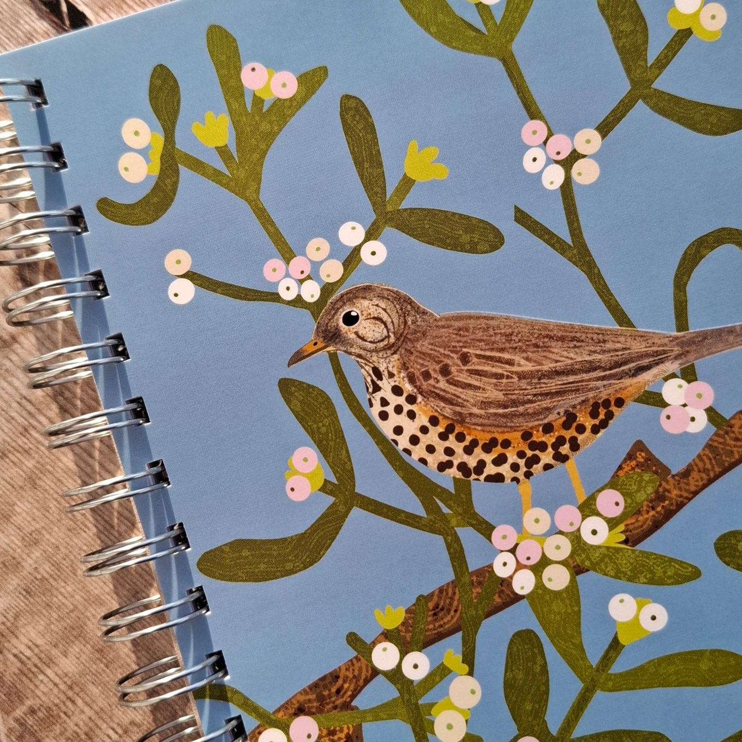 Mistle Thrush Notebook
