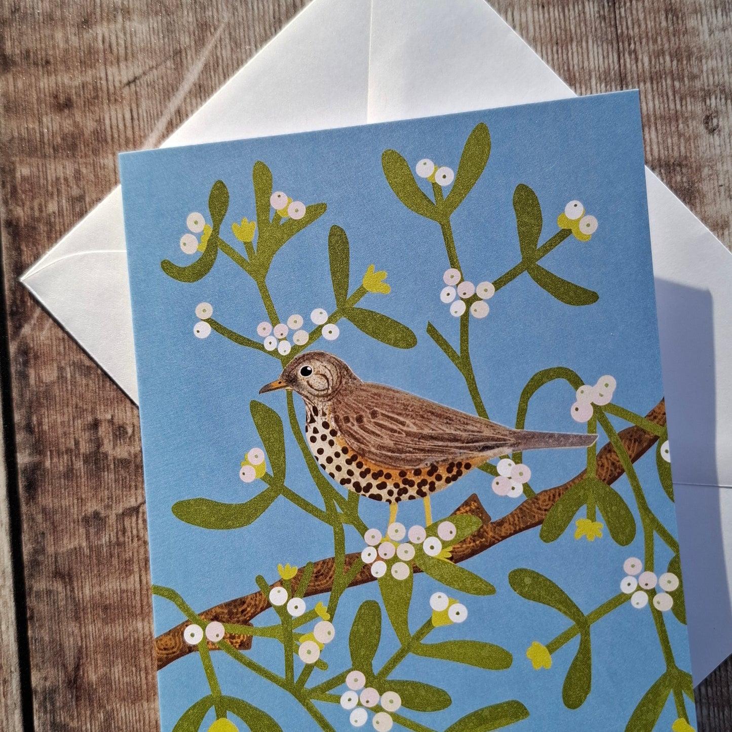 Mistle Thrush and Mistletoe Greeting Card