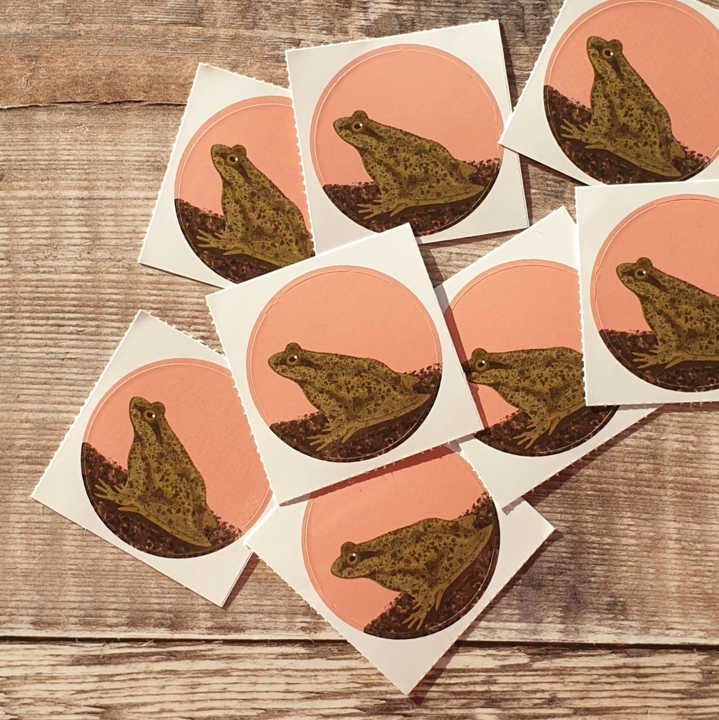 Frog 38mm Vinyl Sticker