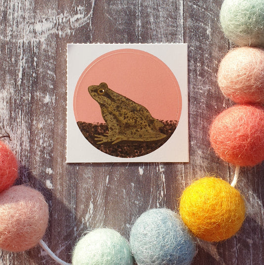 Frog 38mm Vinyl Sticker