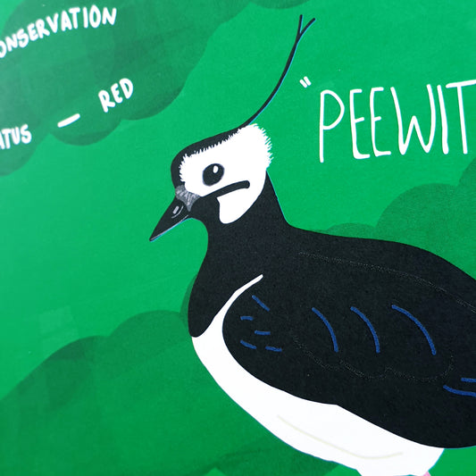 Lapwing Love Notelet Card