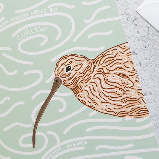 Curlew Love Notelet Card