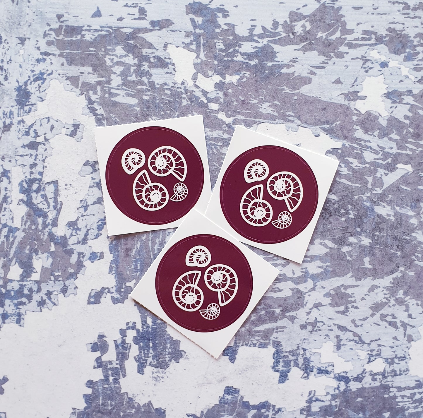 4 Ammonites 38mm Vinyl Sticker
