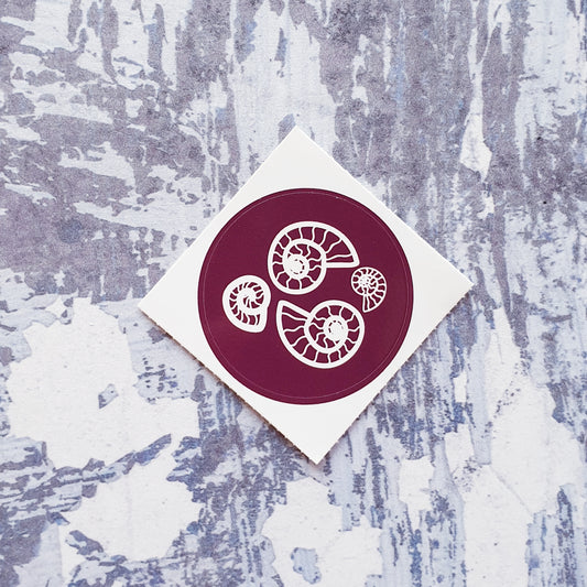 4 Ammonites 38mm Vinyl Sticker