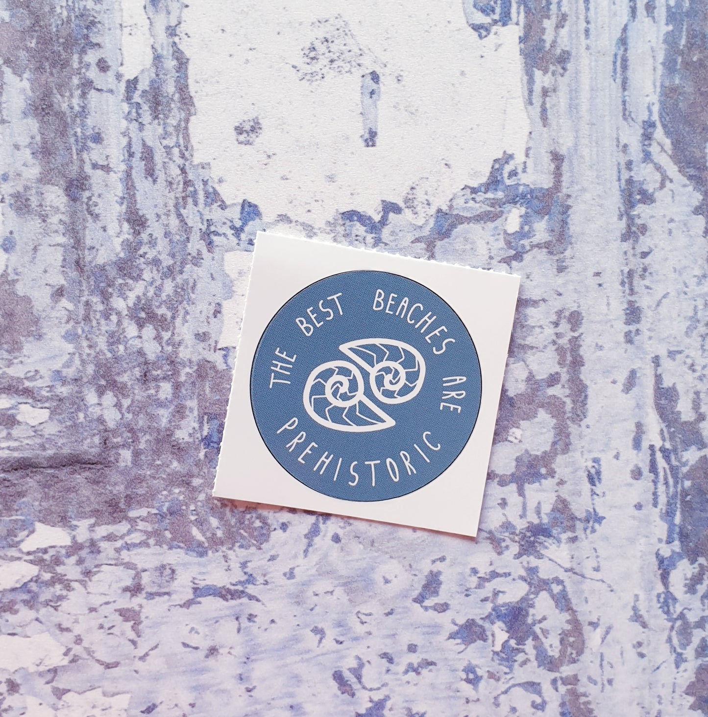 The Best Beaches are Prehistoric 38mm Vinyl Sticker