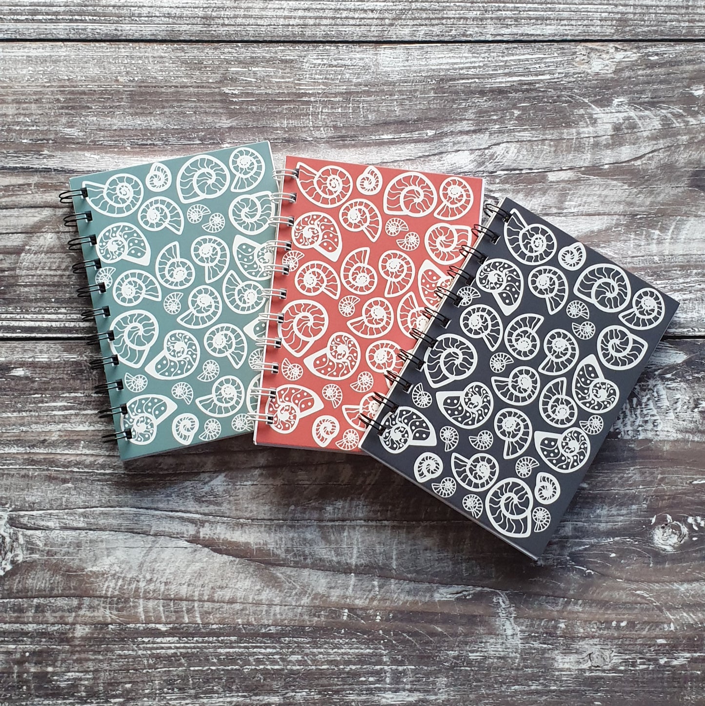 Ammonite - Steel Grey Notebooks