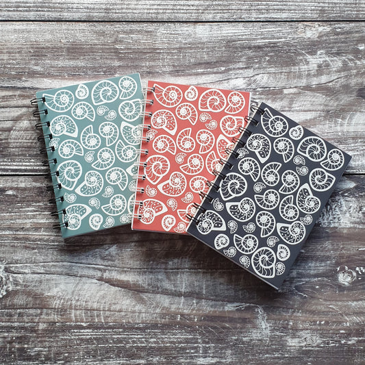 Ammonite - Pale Blue Notebooks