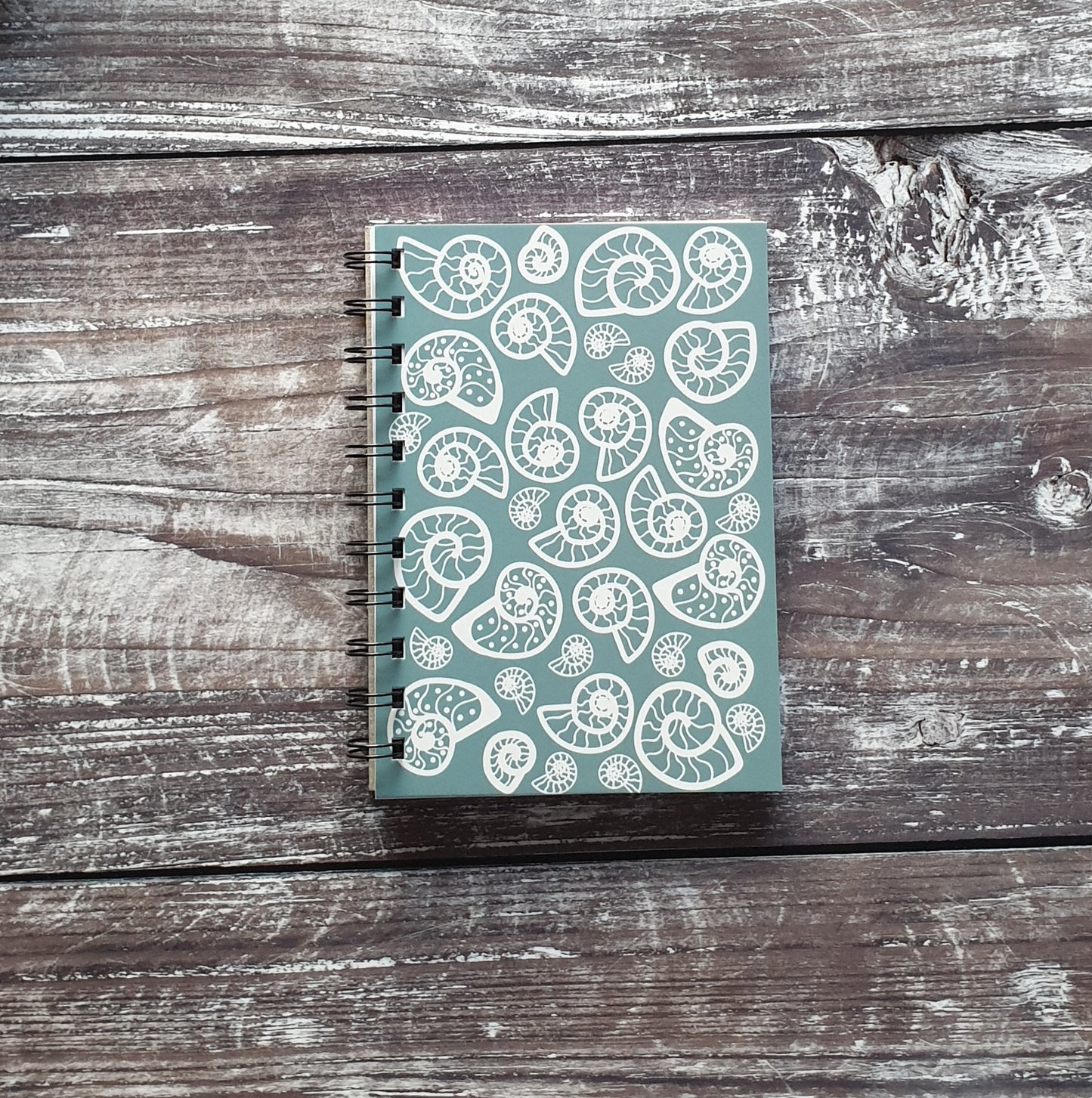 Ammonite - Pale Blue Notebooks