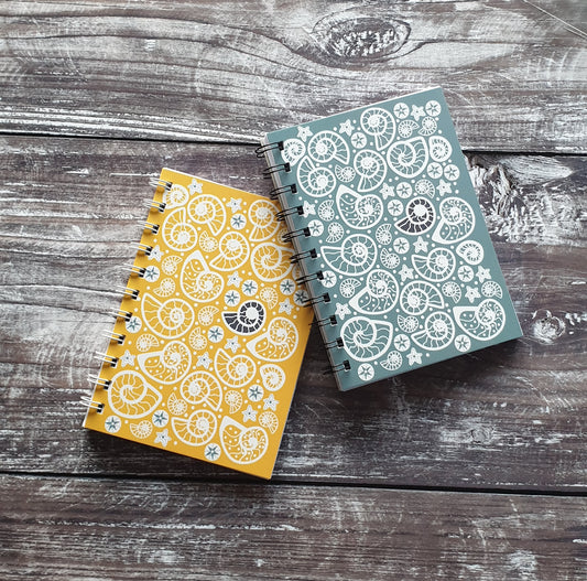 Fossil Beach - Blue Notebooks