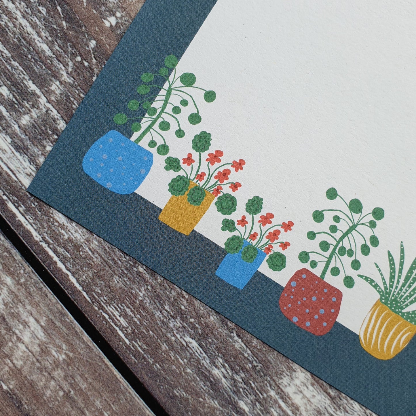 Houseplants Gift Note - Set of 4