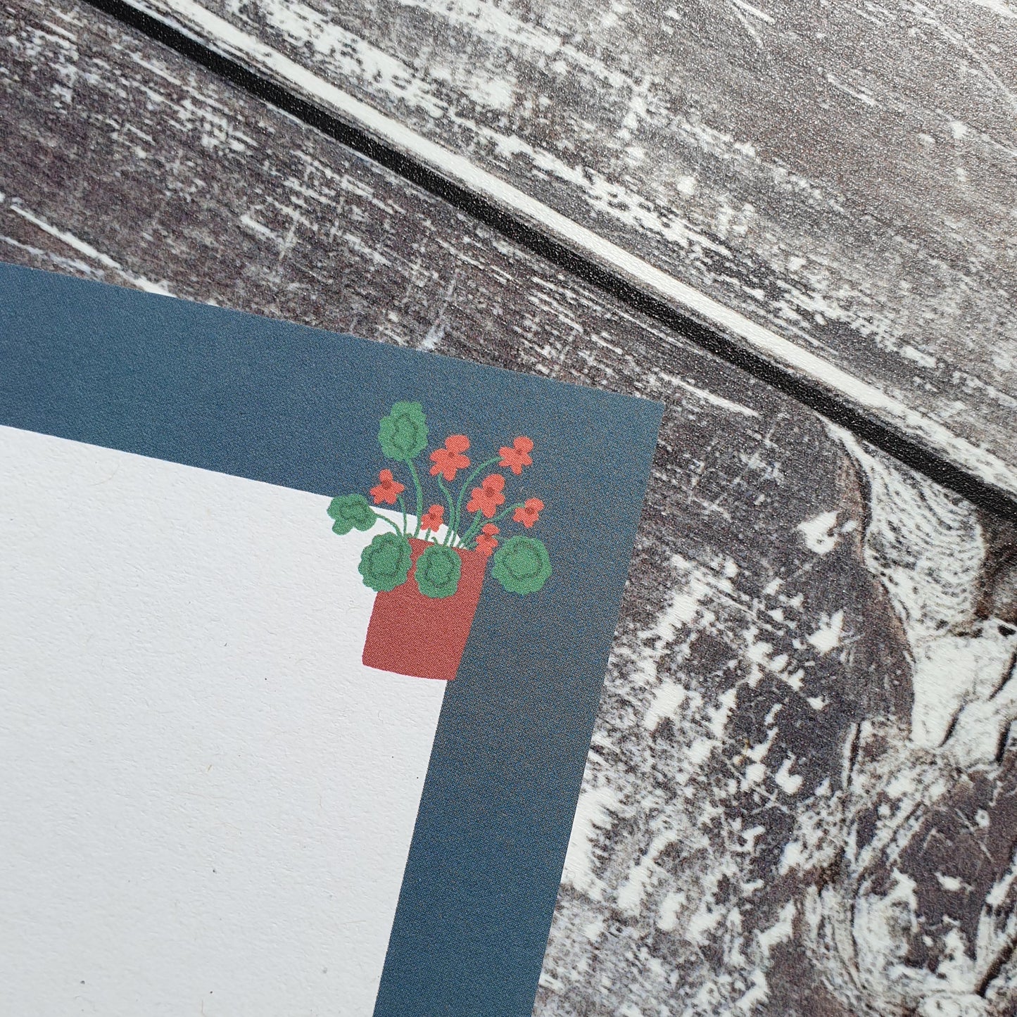 Houseplants Gift Note - Set of 4