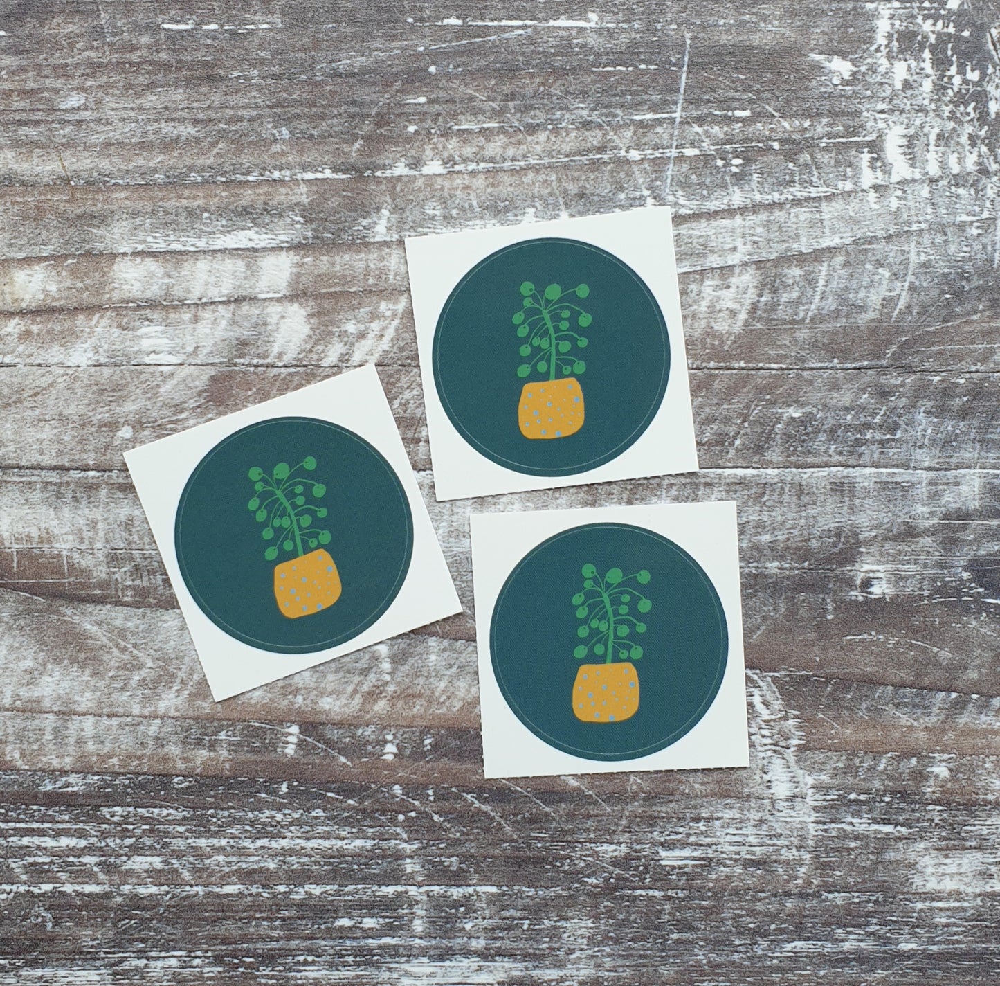 Pilea 38mm Vinyl Sticker