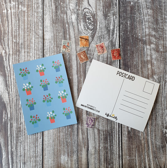 Geraniums Postcard