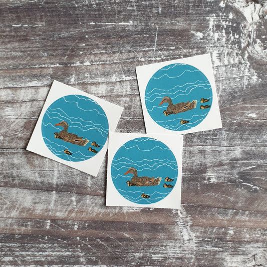 Mallard Family 38mm Vinyl Sticker