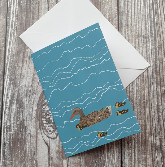 Mallard Greeting Card