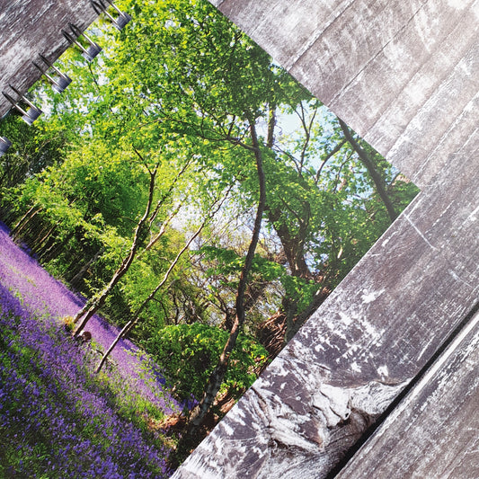 Bluebell Wood A6 Notebook