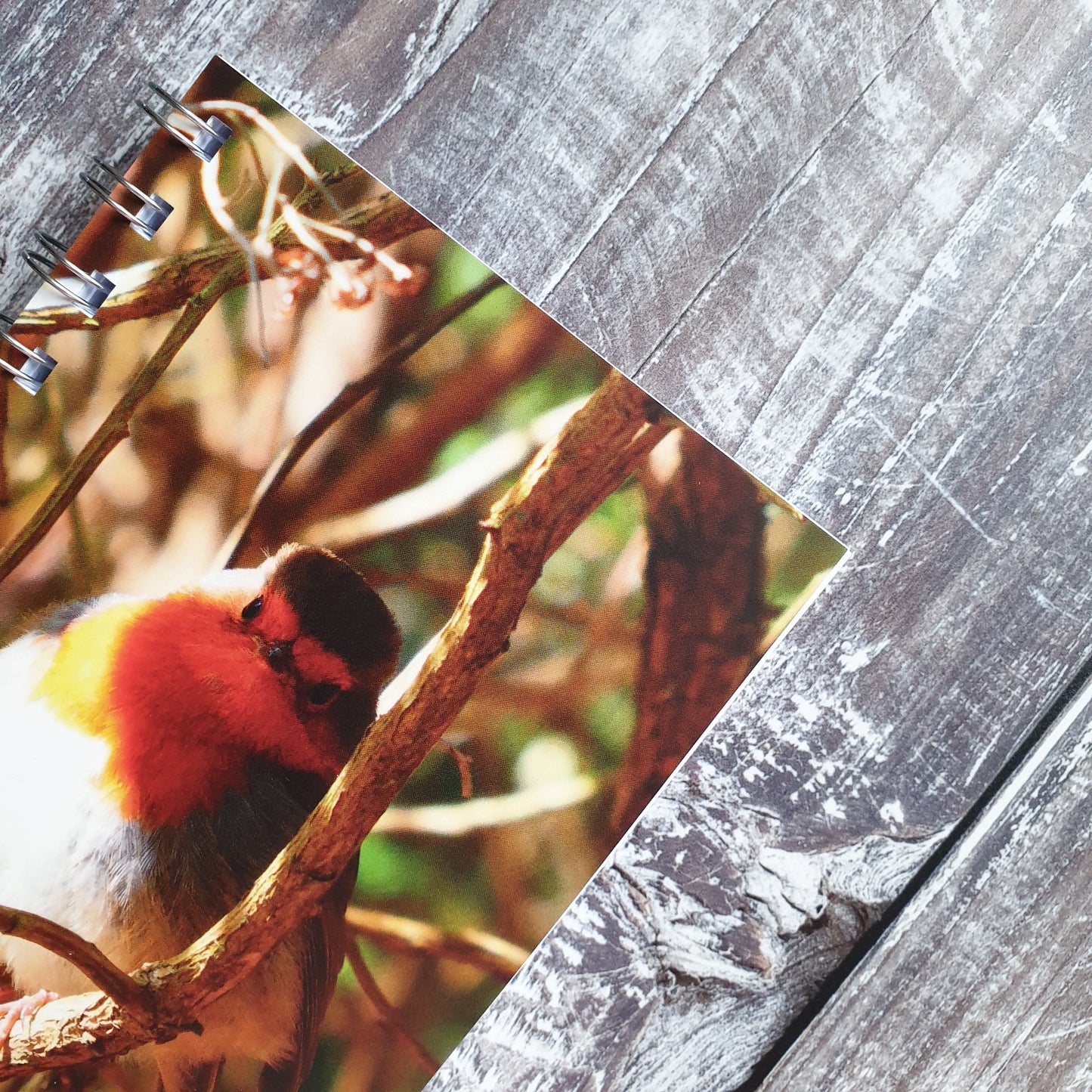 Robin Photographic A6 Notebook