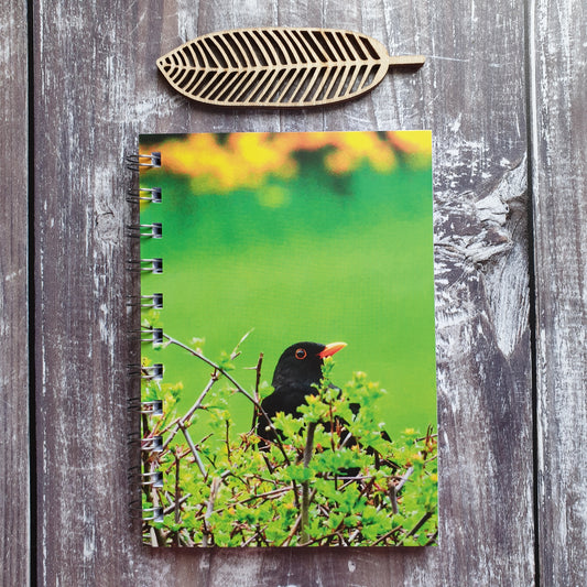 Blackbird Photographic A6 Notebook