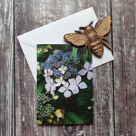 Pink Hydrangea Greeting Card