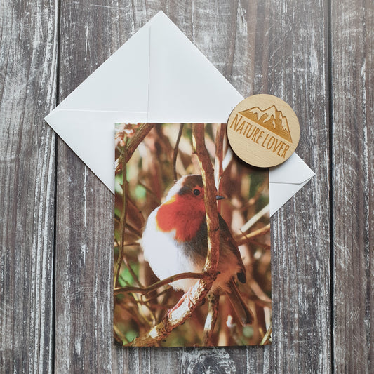 Shy Robin Photographic Greeting Card