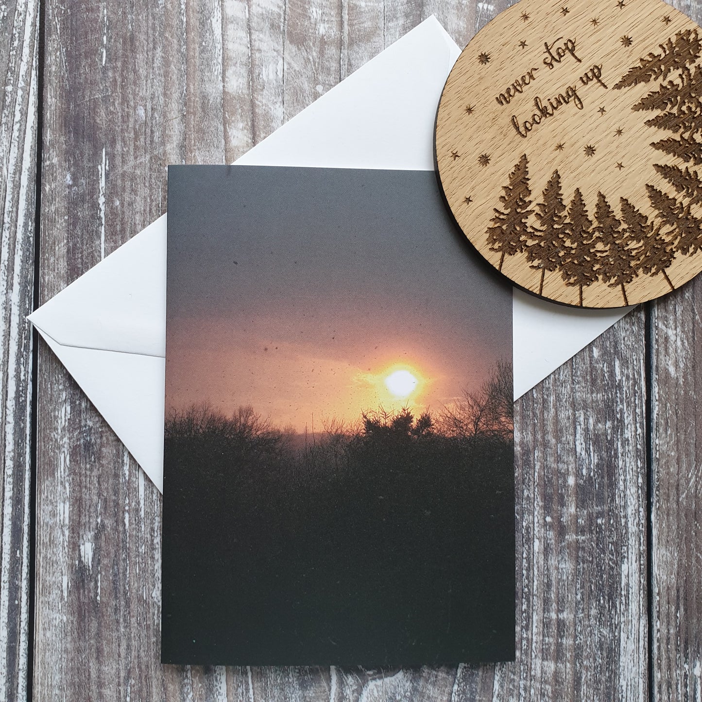 Sunset Through the Snow Photographic Greeting Card