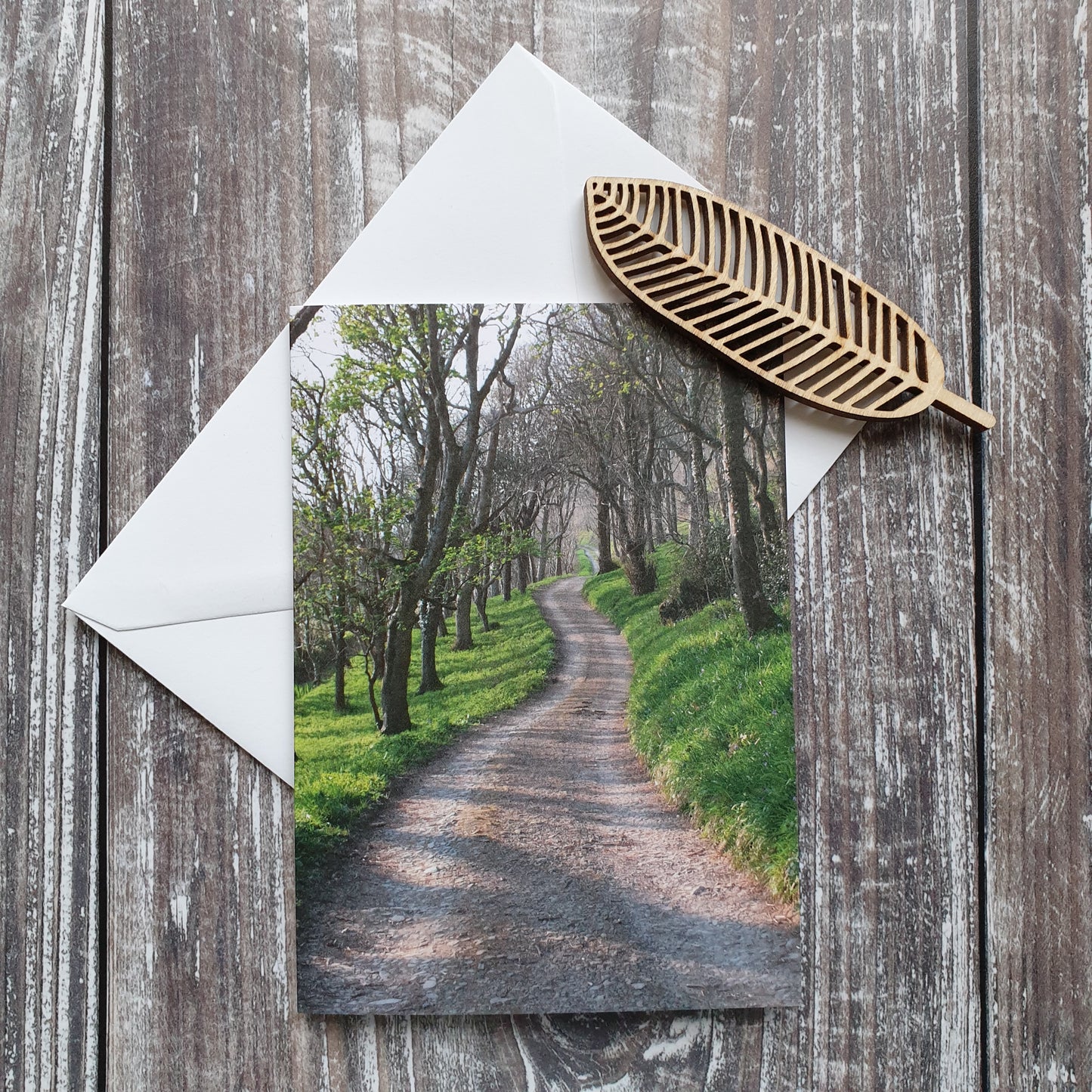 Woodland Walk Photographic Greeting Card