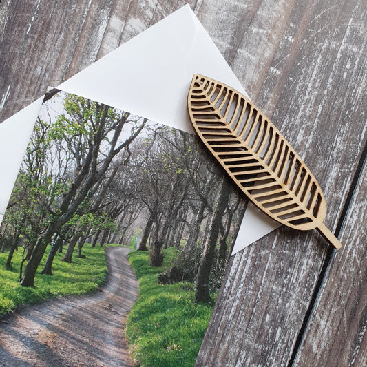 Woodland Walk Photographic Greeting Card