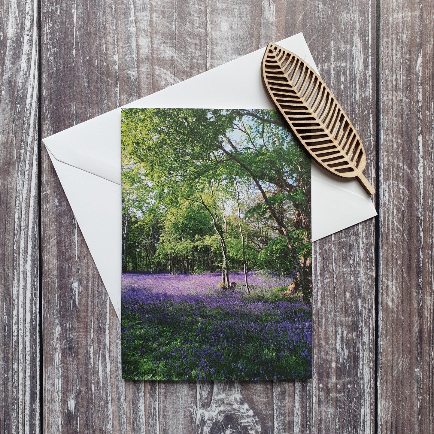 Bluebell Woodland Photographic Greeting Card