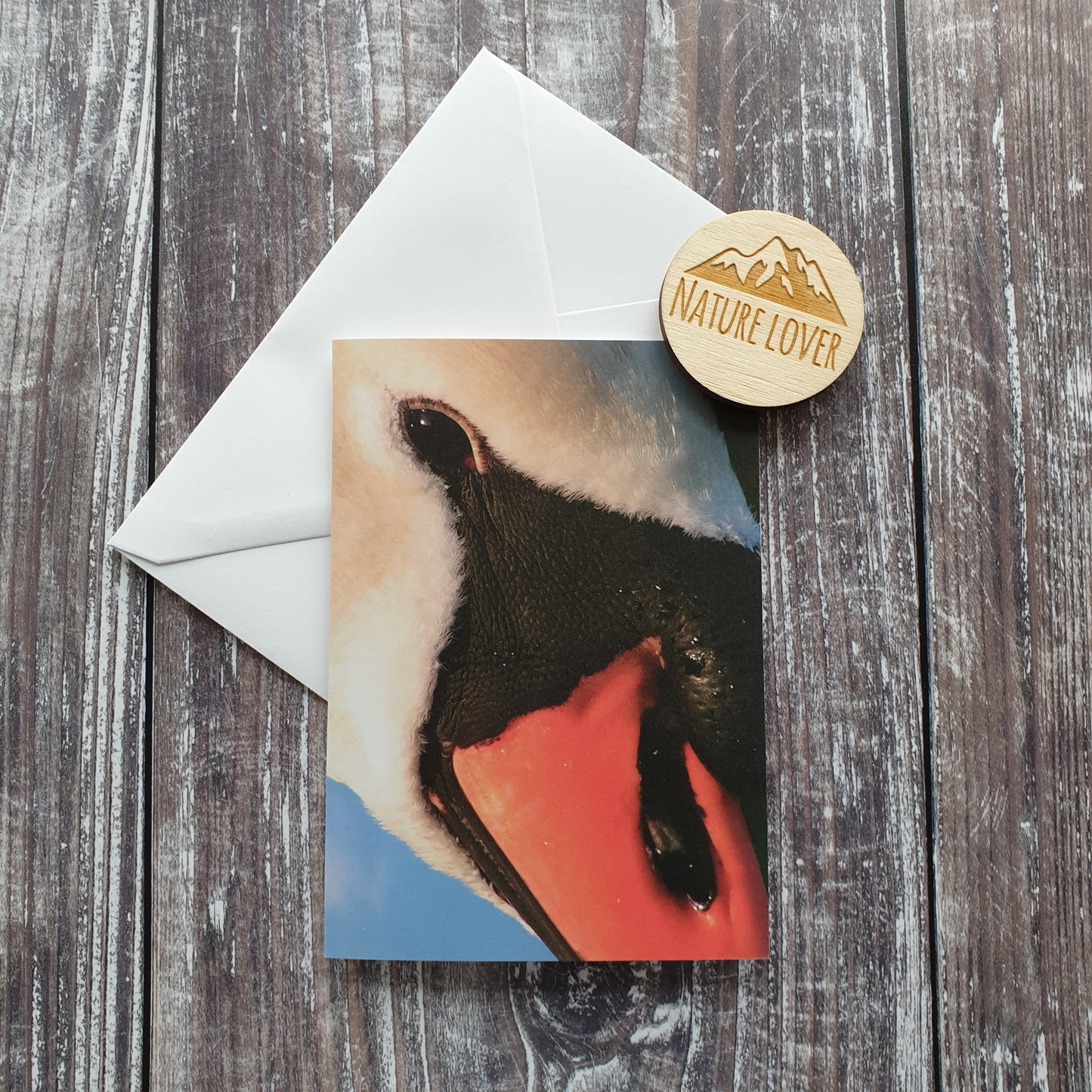 Swan Photographic Greeting Card