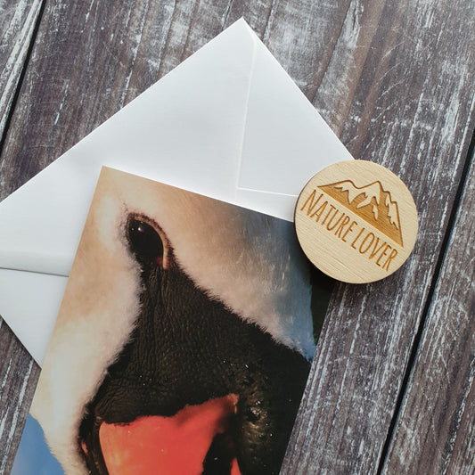 Swan Photographic Greeting Card