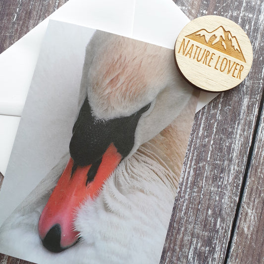 Swan Gazing Photographic Greeting Card
