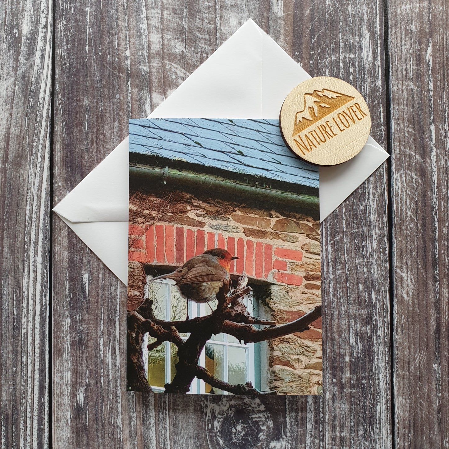 Cornish Robin Photographic Greeting Card