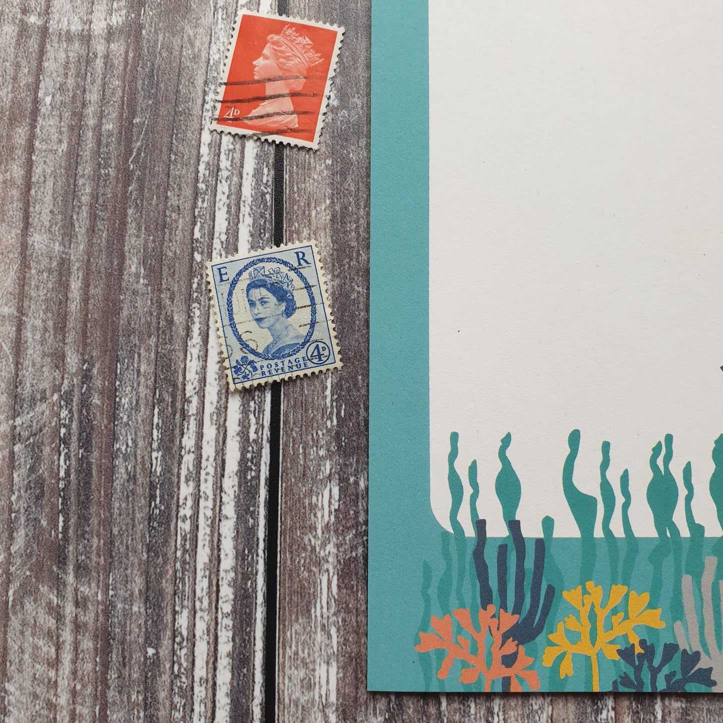 Cetaceans Writing Paper Set