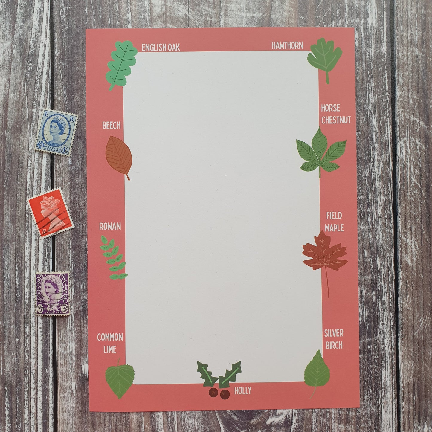 Leaf Identification Writing Paper Set