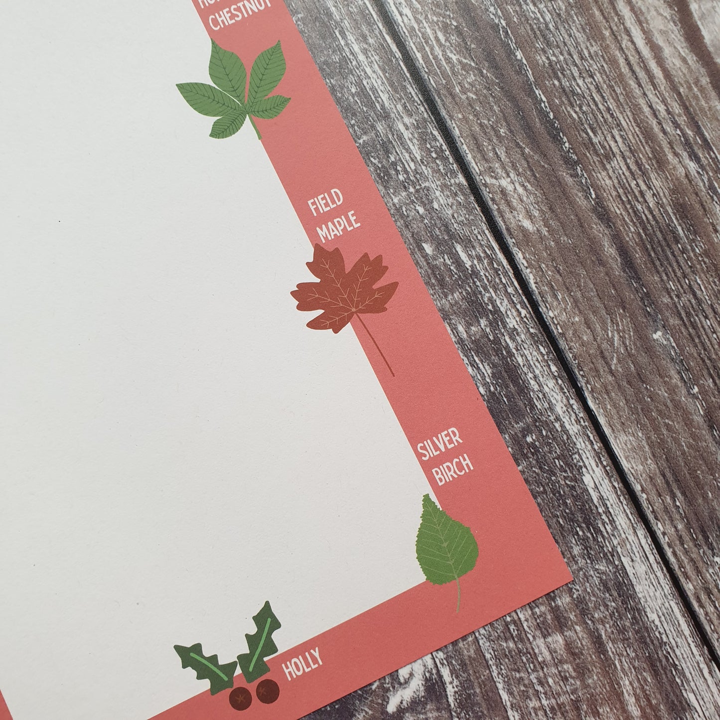 Leaf Identification Writing Paper Set