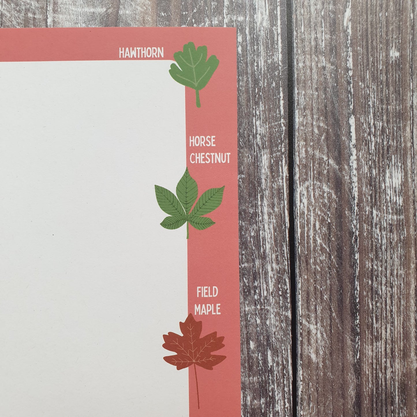 Leaf Identification Writing Paper Set