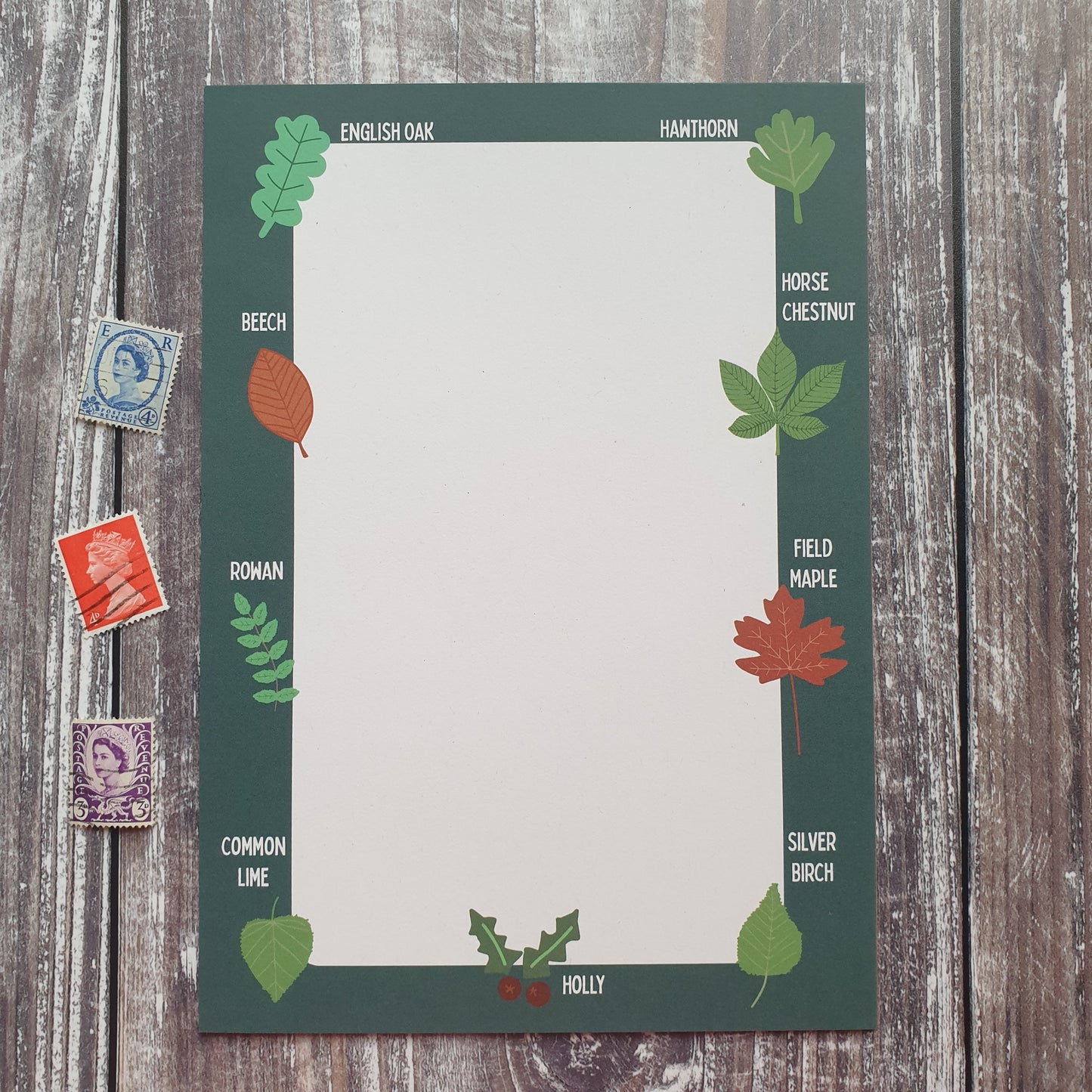 Leaf Identification Writing Paper Set
