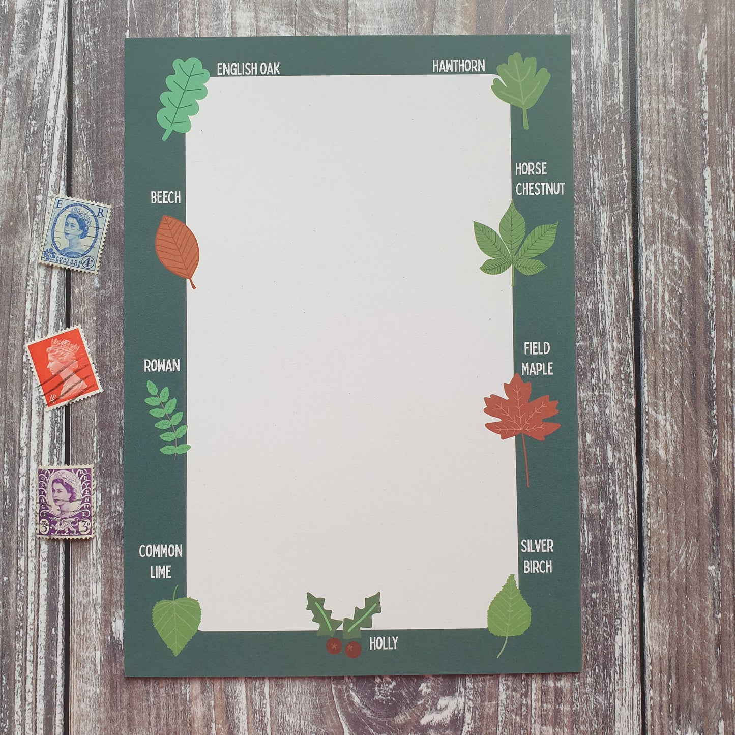 Leaf Identification Writing Paper Set