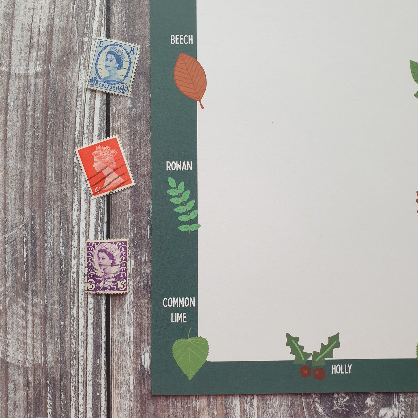 Leaf Identification Writing Paper Set