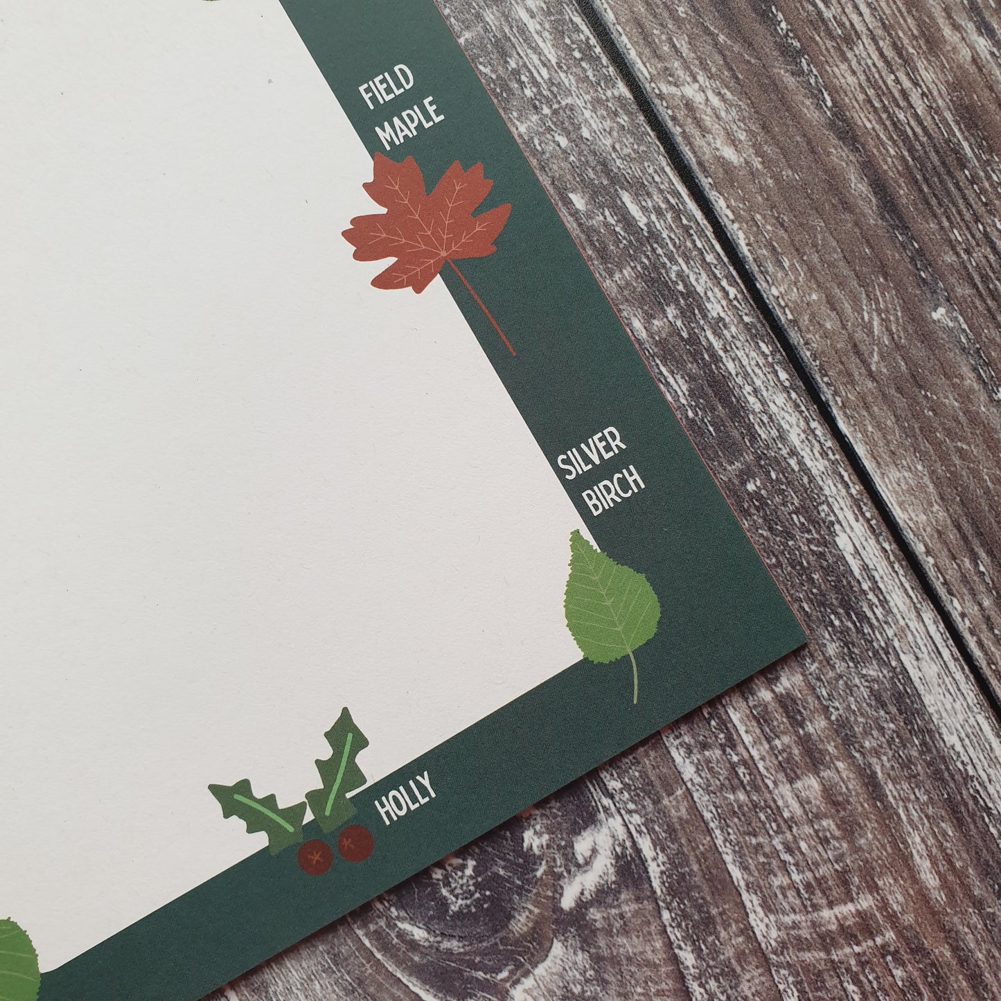 Leaf Identification Writing Paper Set