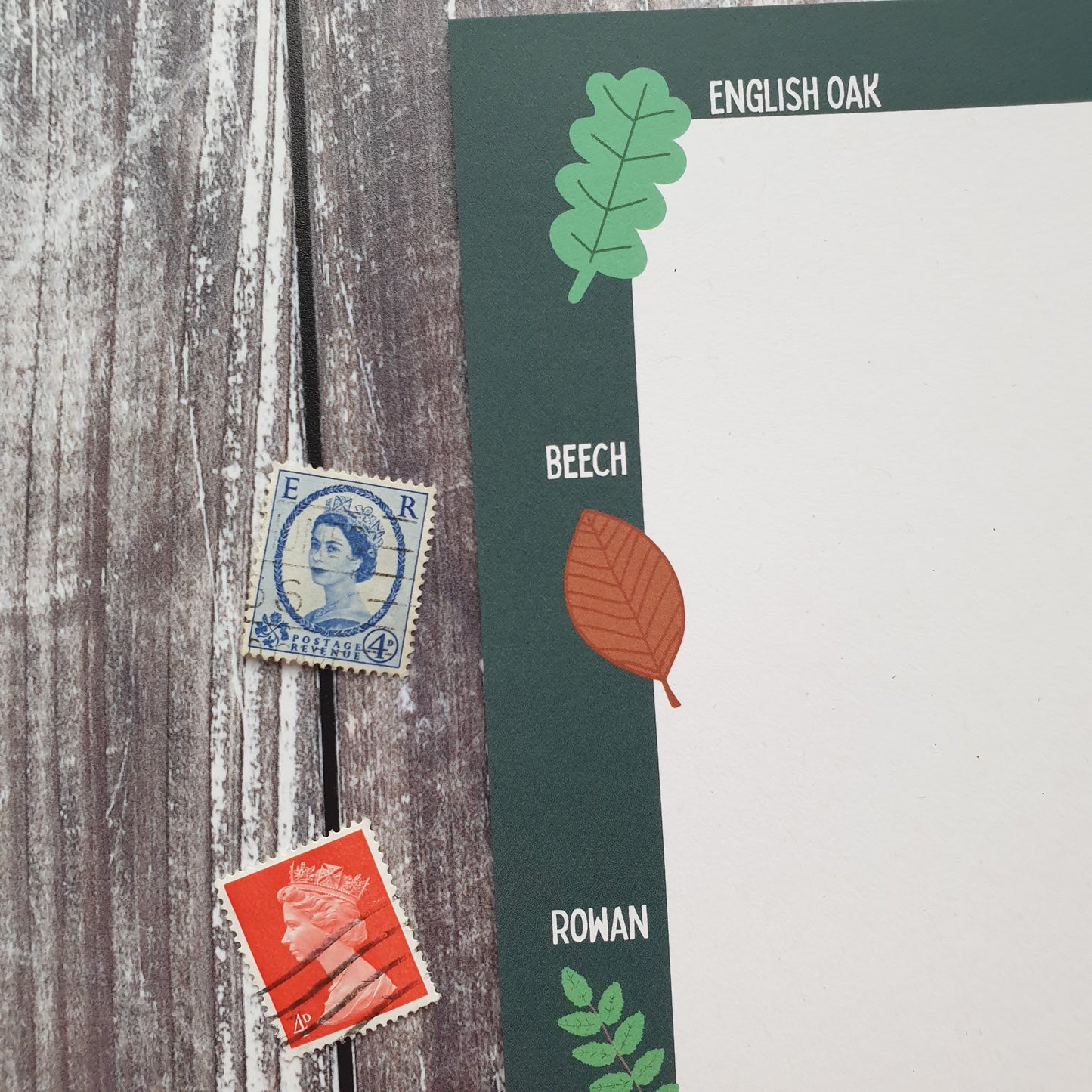 Leaf Identification Writing Paper Set