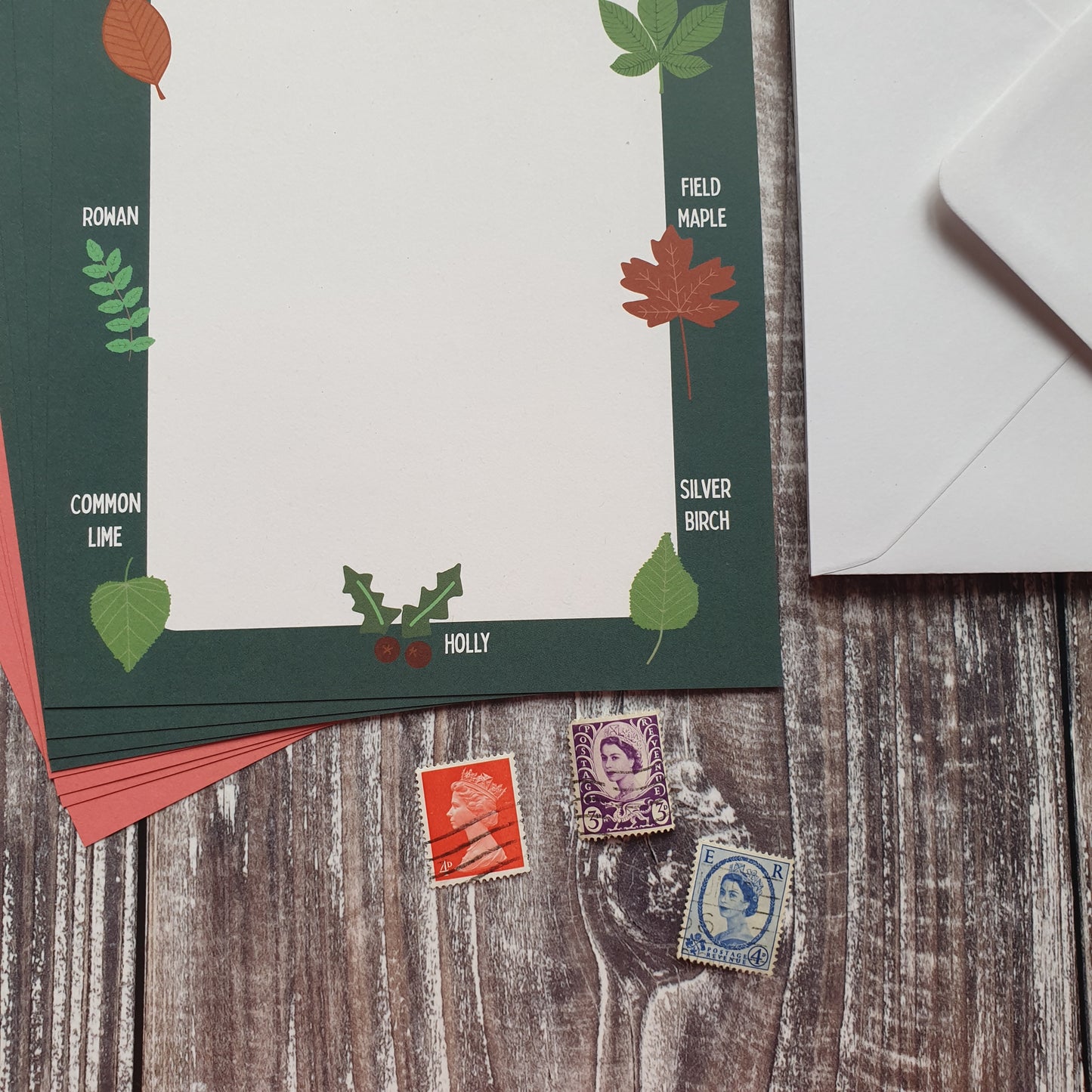 Leaf Identification Writing Paper Set