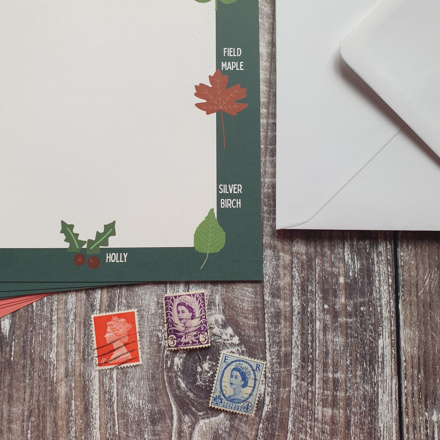 Leaf Identification Writing Paper Set