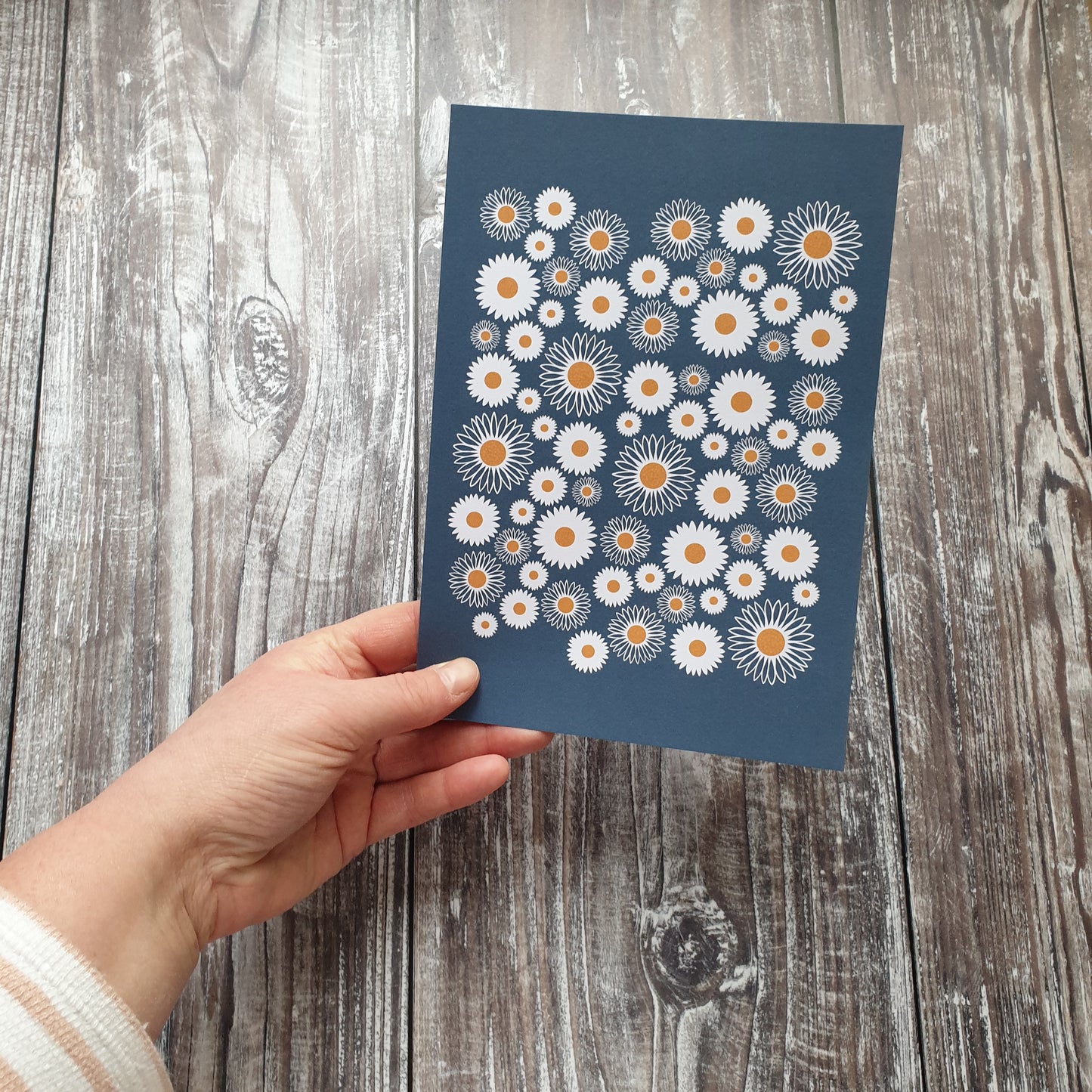 Daisy Field Art Print