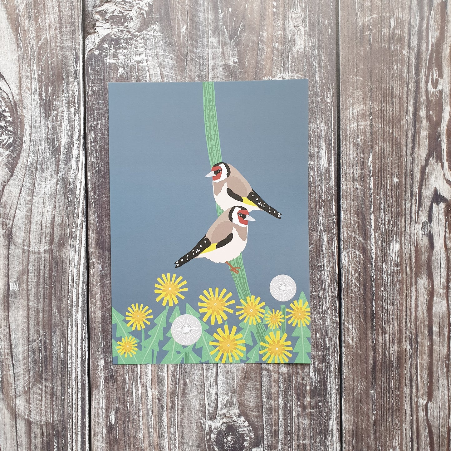 Goldfinch Art Print