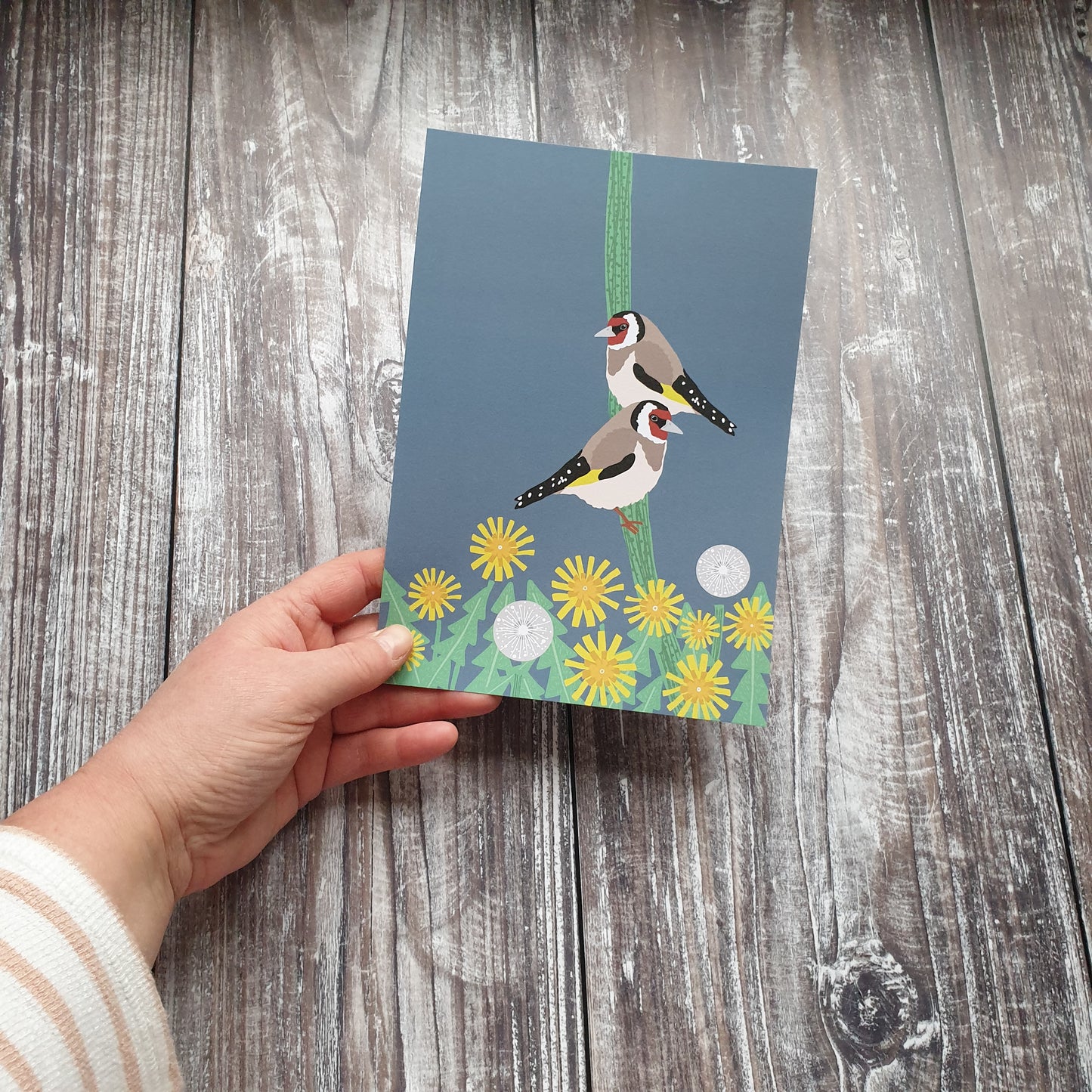 Goldfinch Art Print