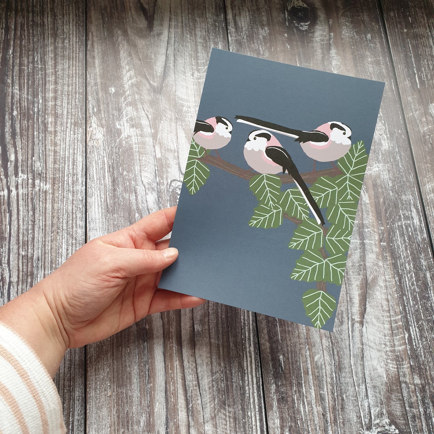 Long Tailed Tits Art Print