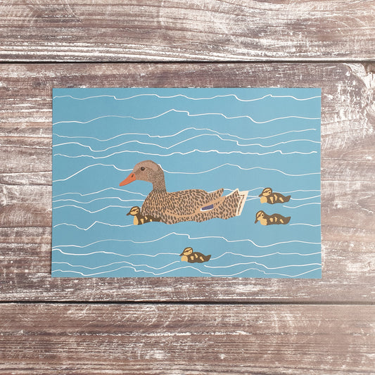Mallard Family Art Print